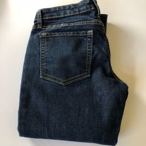Gap Premium Skinny Dark Wash Jean